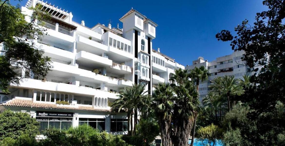 Se alquila apartamento en Milla de Oro