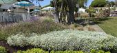 WELLNESS RESORT MARBELLA