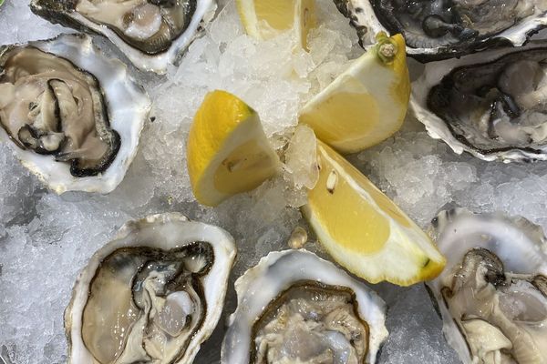 CHAMPAGNE § OSTRAS -OYSTER BAR MARBELLA